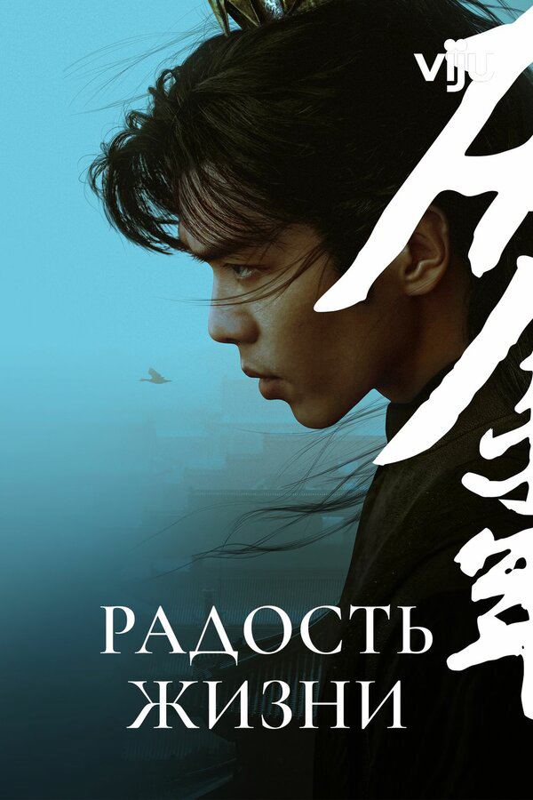 Радость жизни - постер